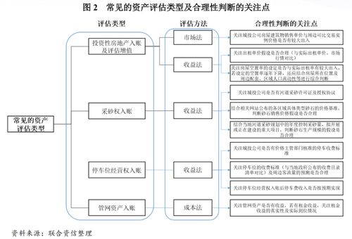 透過審計(jì)報(bào)告與資產(chǎn)評(píng)估報(bào)告識(shí)別城投公司財(cái)務(wù)風(fēng)險(xiǎn)