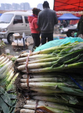 瘋狂的大蔥囤貨風(fēng)波 經(jīng)銷商獲利千萬(wàn)與酒業(yè)的警示
